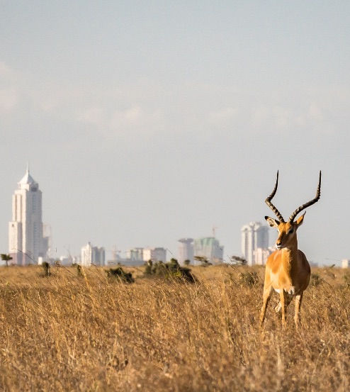 Nairobi