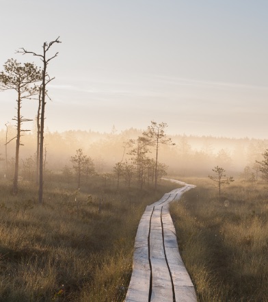 Estonia